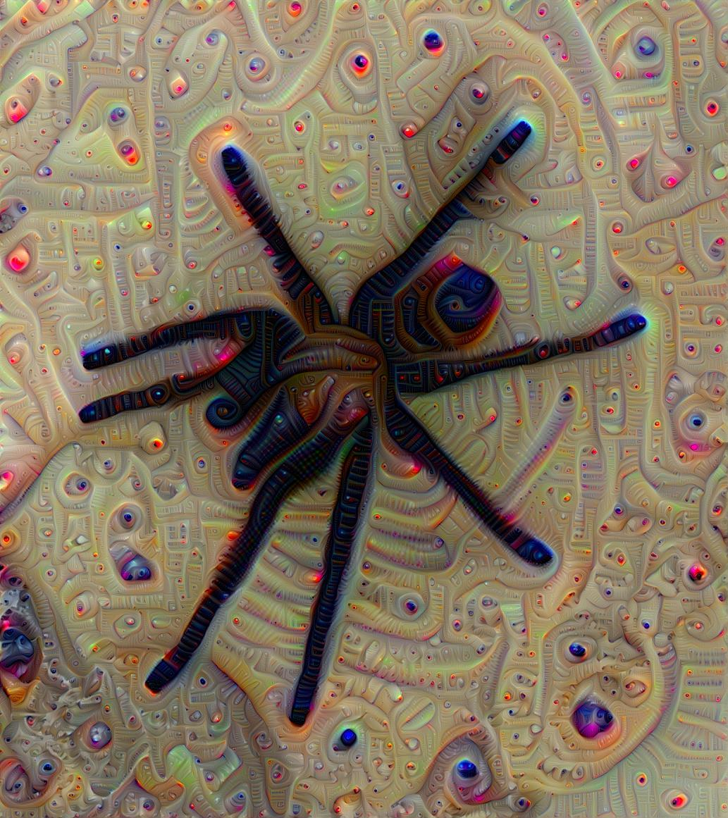 Candy Tarantula