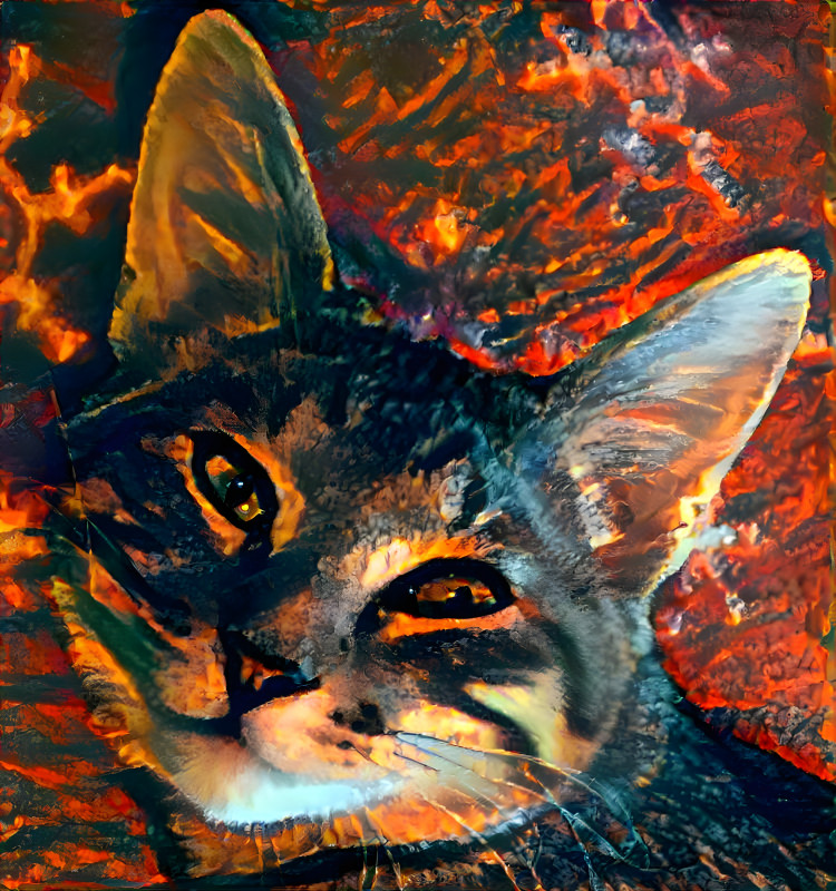 Fire Cat