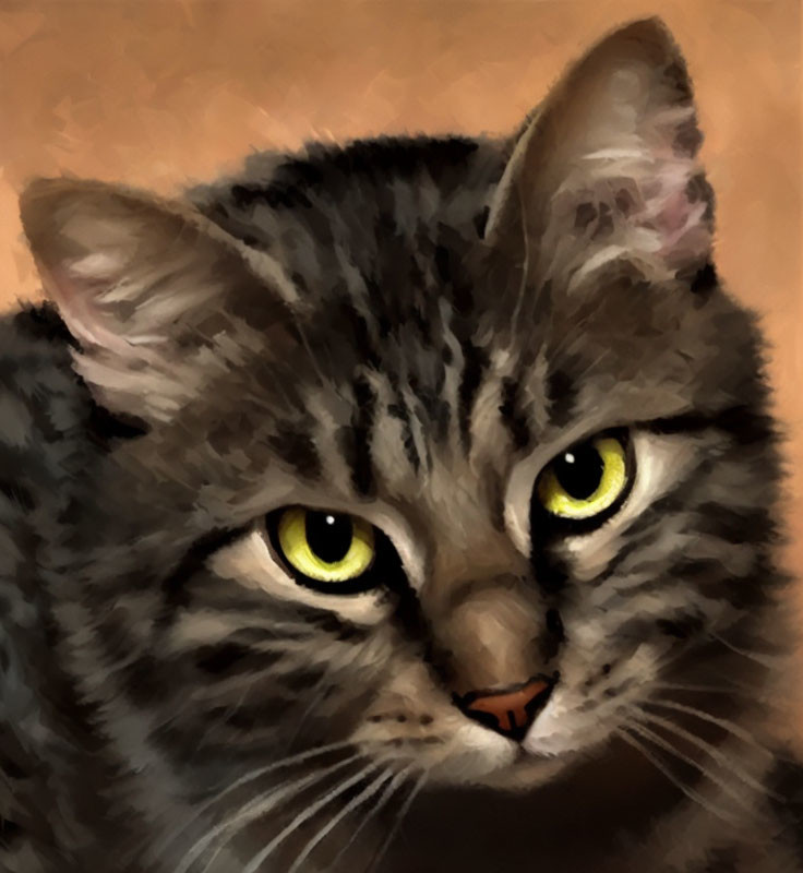 Grey Tabby Cat with Striking Yellow Eyes in Soft-focus Background