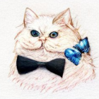 White Cat with Blue Eyes in Black and Light Blue Bow Tie