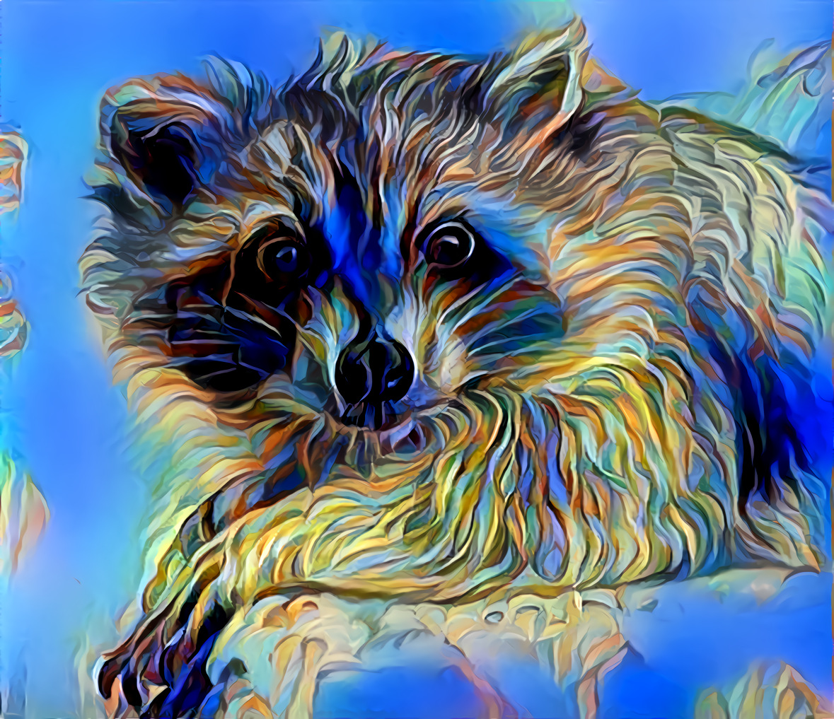 Deep Raccoon