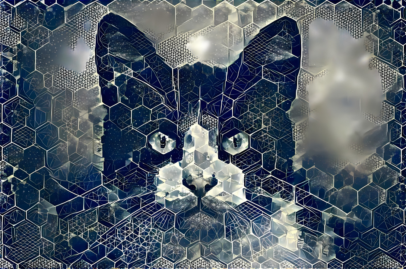 Hexacat