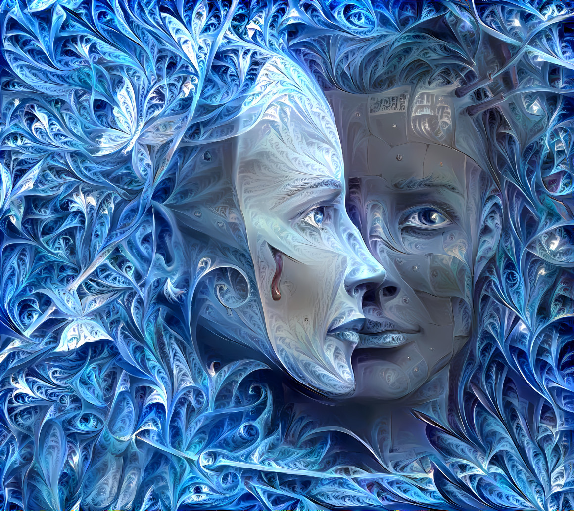 Fractal Faces