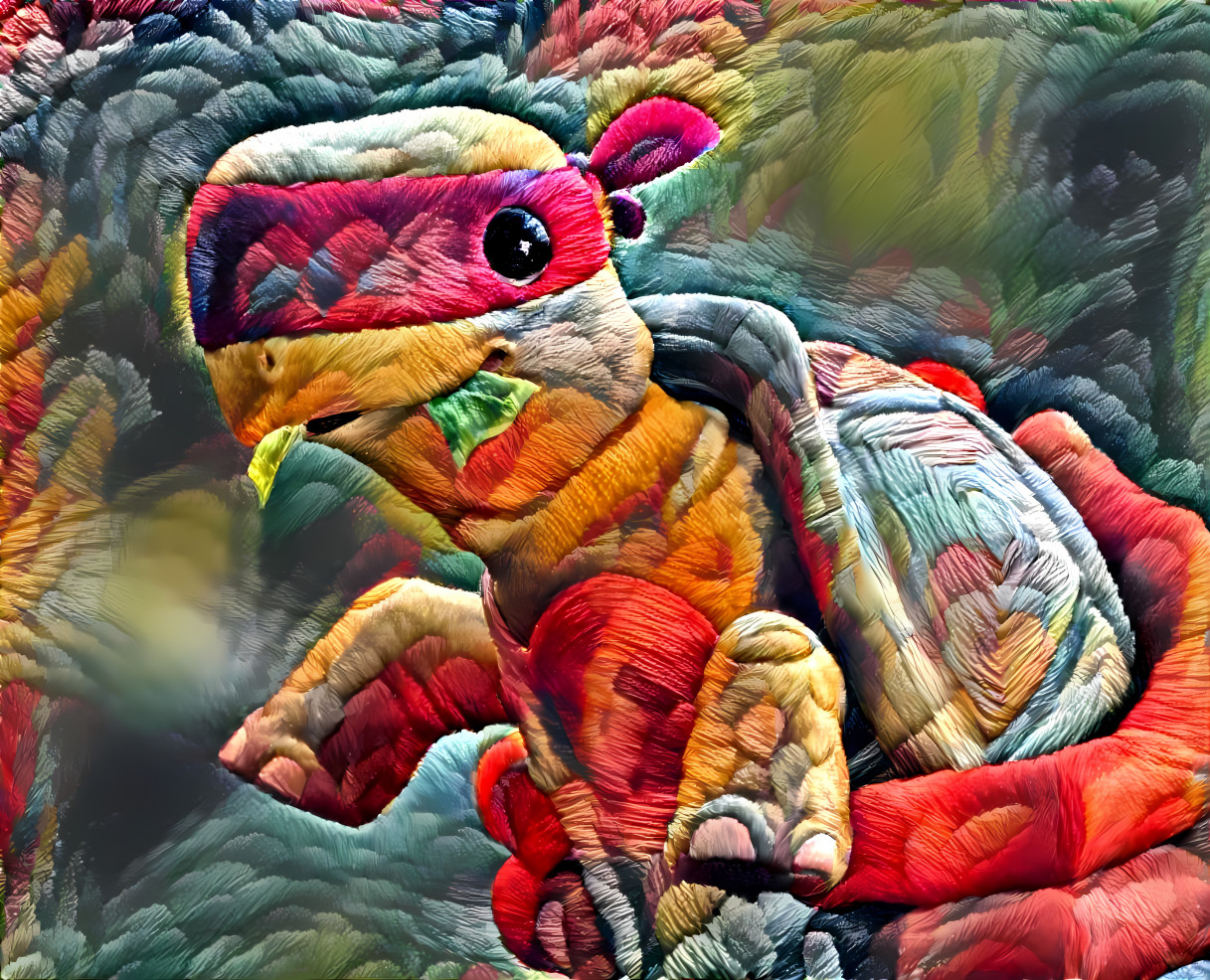 Ninja Turtle