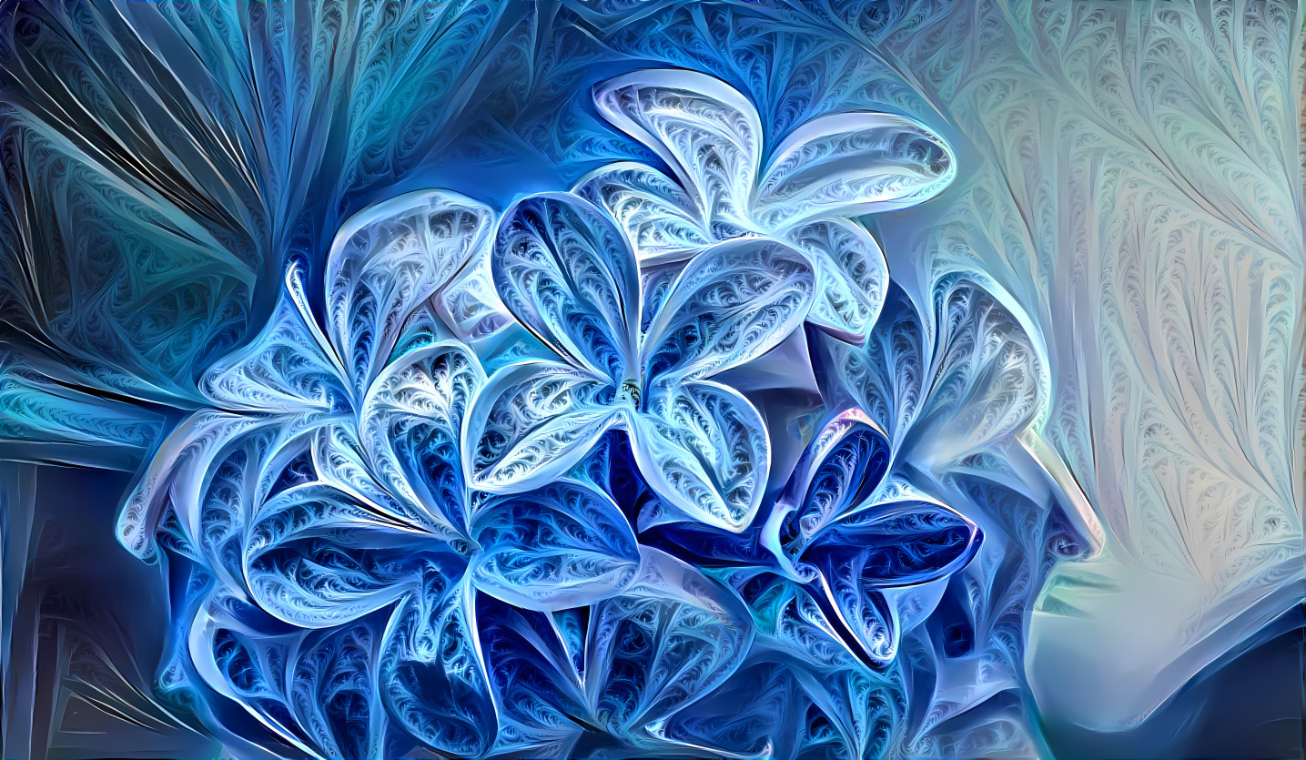 Fractal Flowers