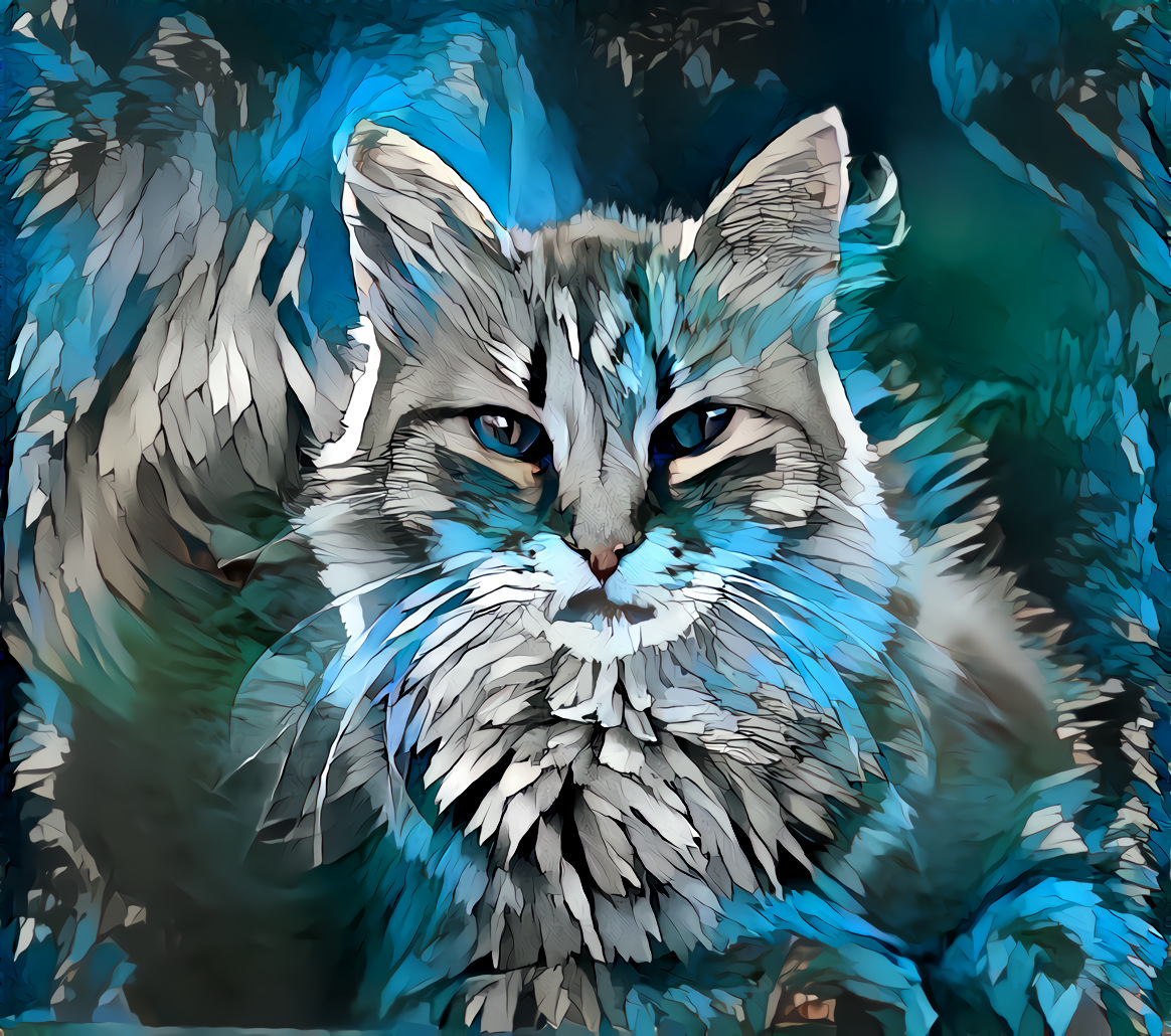 Blue Cat