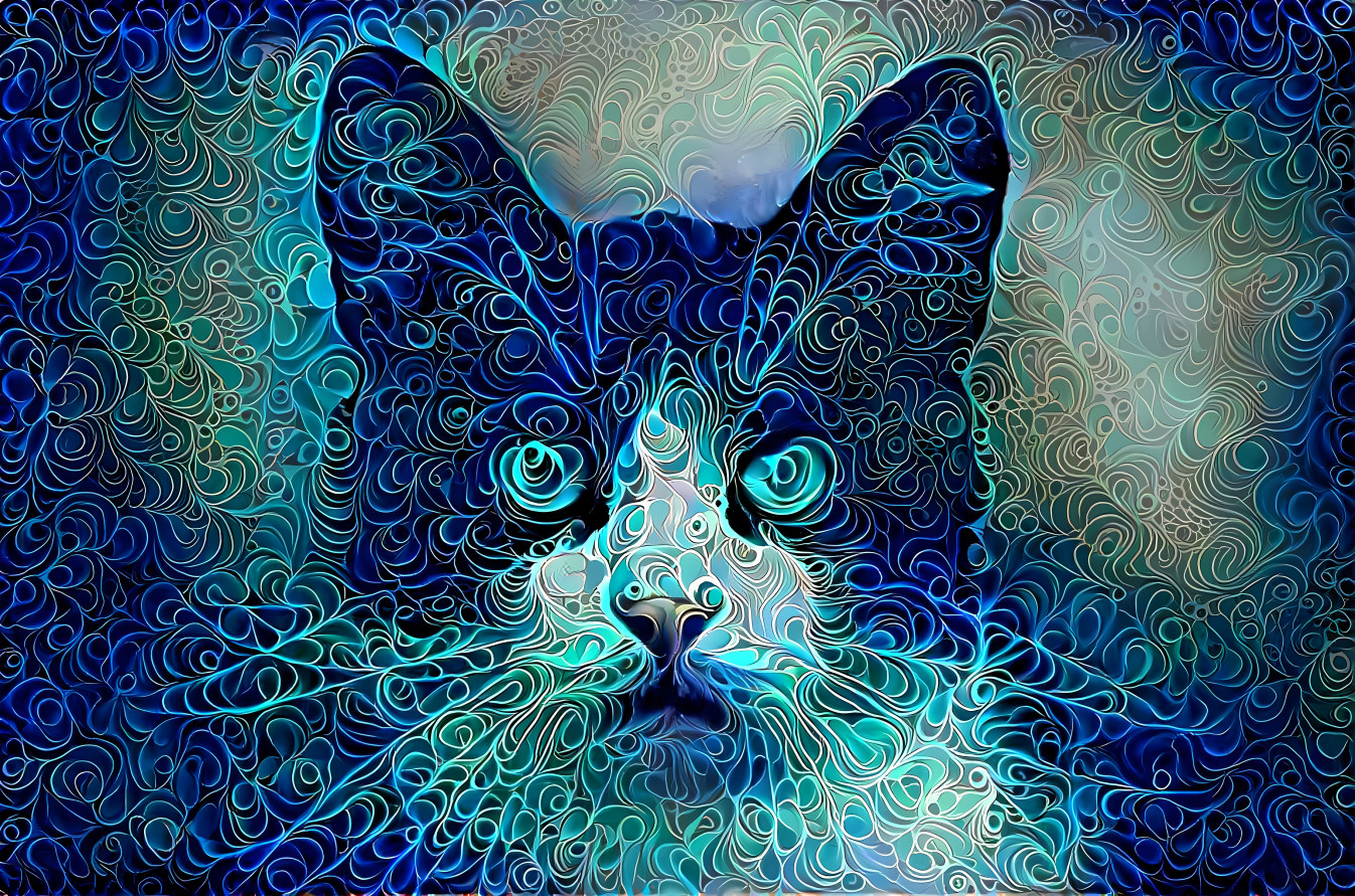 Swirly Cat