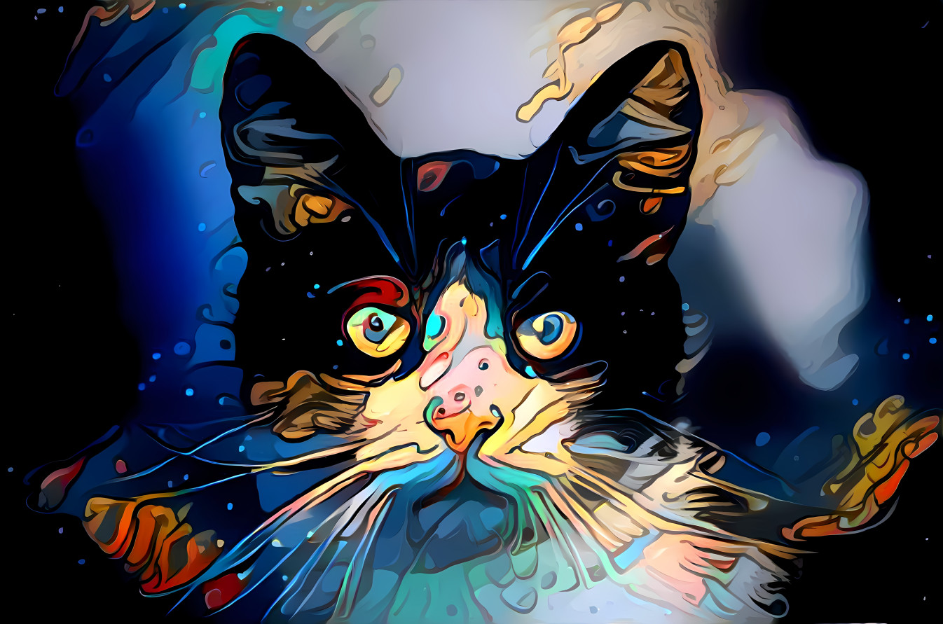 Cartoon Cat