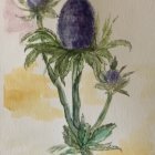 Botanical illustration with blue bulb flower and yellow blooms