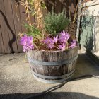 Pink Blossom Floral Arrangement in Decorative Bowl on Glittering Green Surface