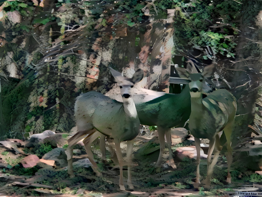 KALI, ZEUS and GRIFFON on GAZELLES