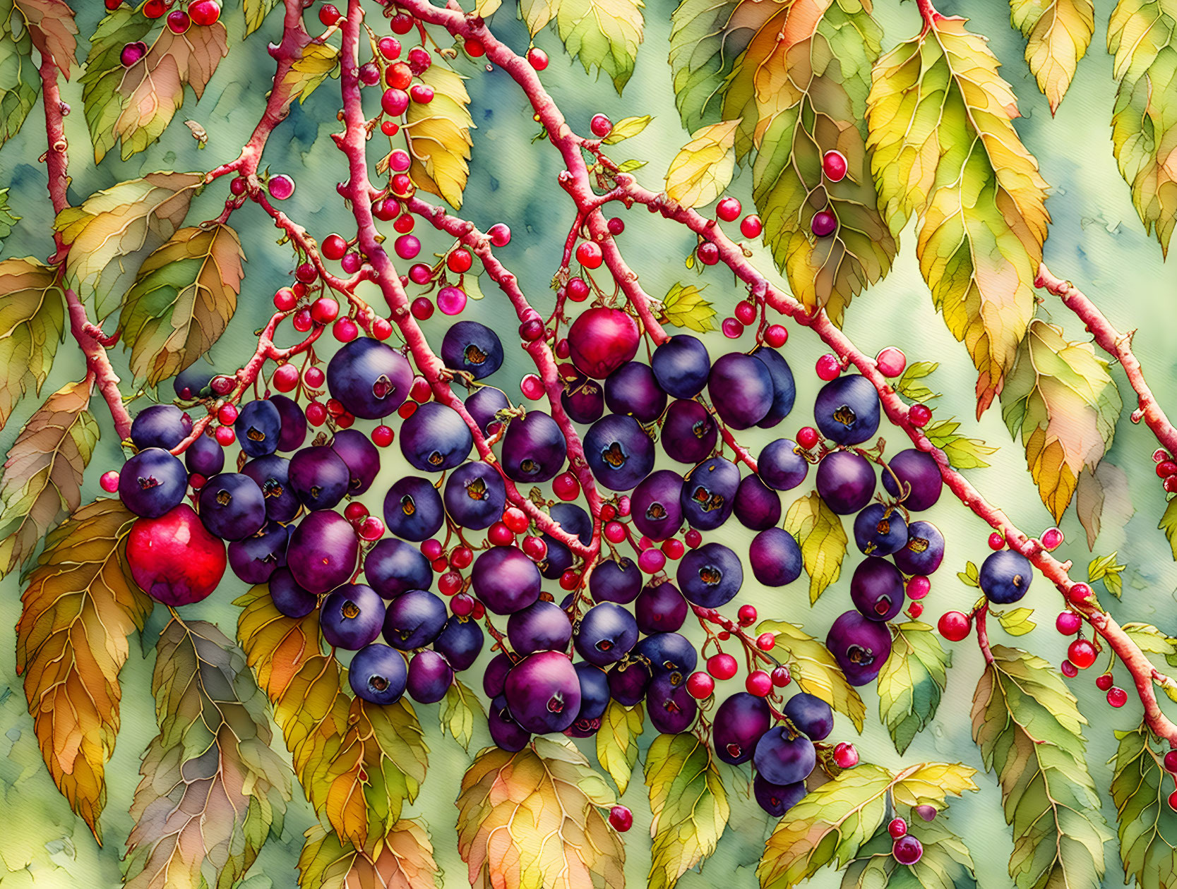 Colorful Wild Berries and Leaves Illustration