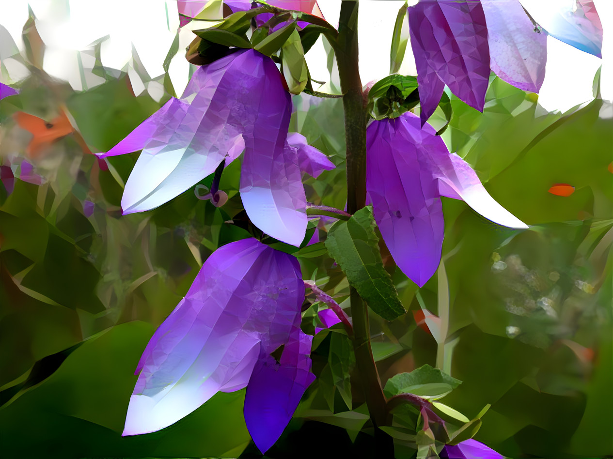 harebell very pretty