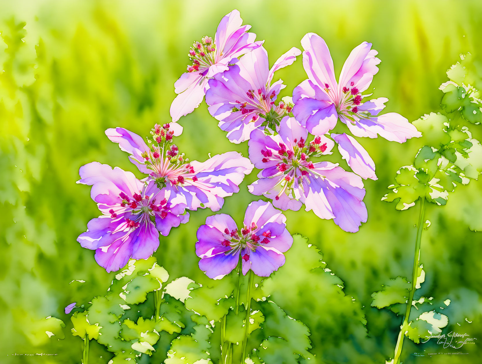 Colorful illustration of purple flowers with red stamens on green background