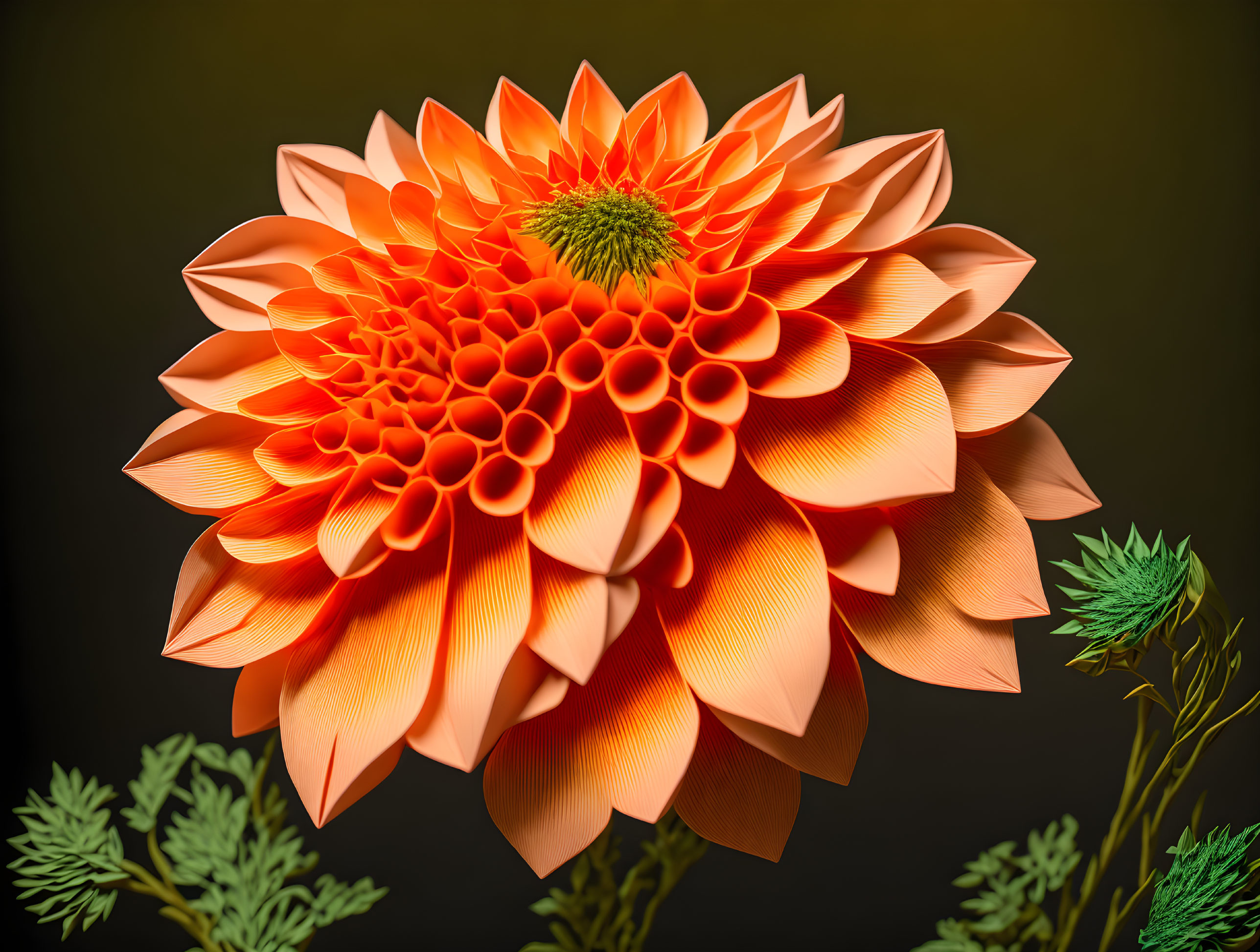 Vibrant orange dahlia with intricate petals on dark green background