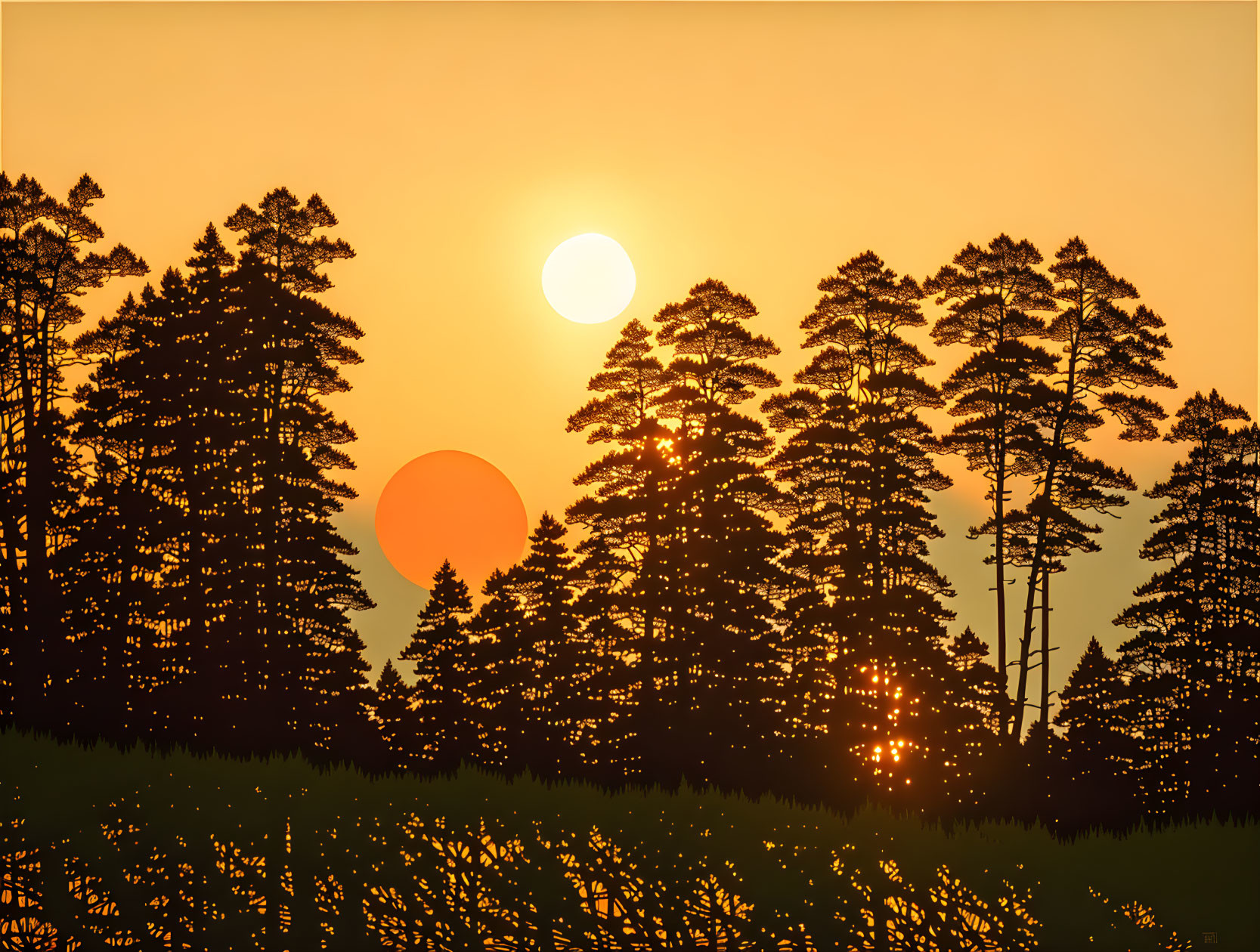 Double sun illusion at sunset over pine tree silhouette in golden sky