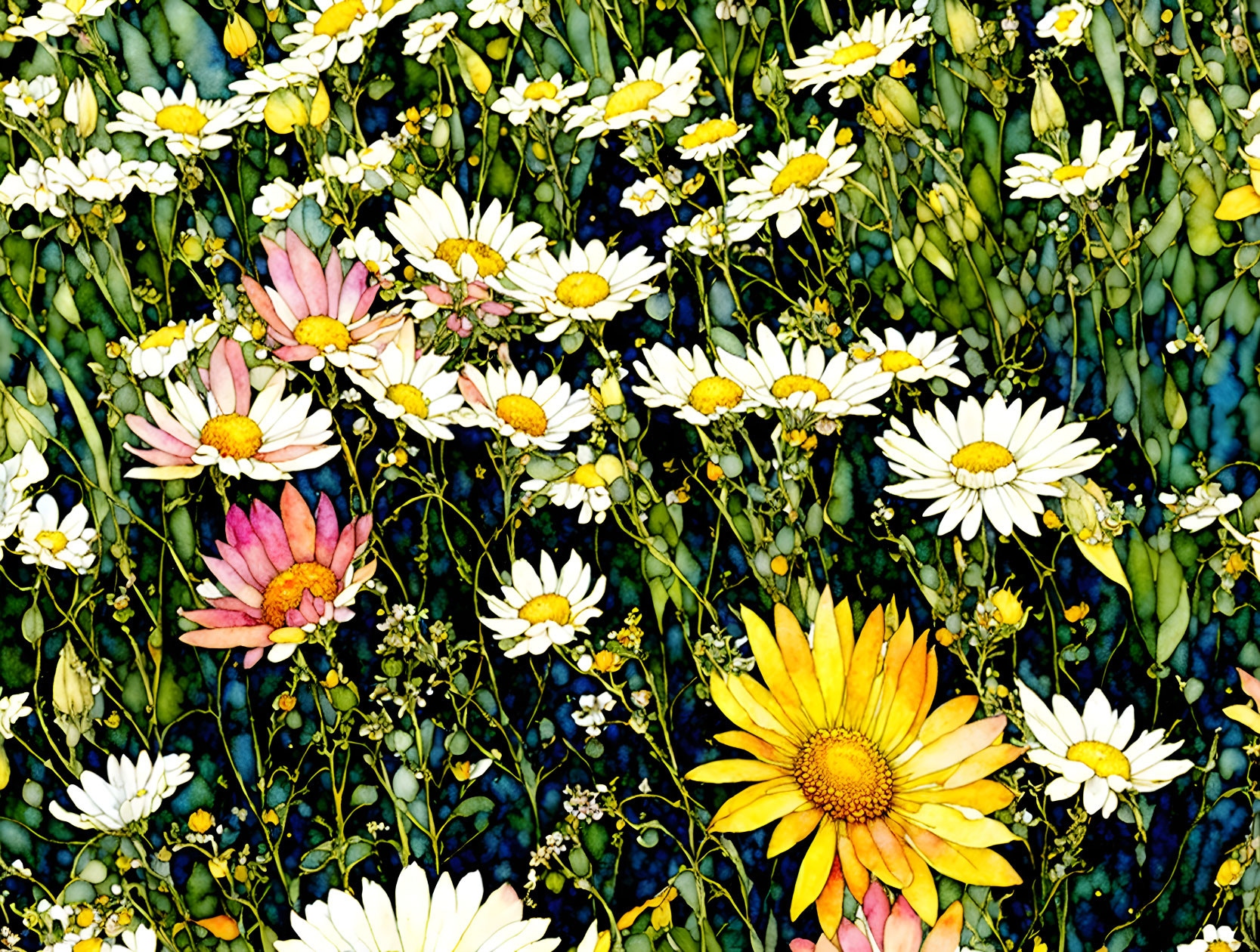 Vibrant daisy illustration on dark backdrop