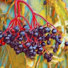 Colorful Wild Berries and Leaves Illustration