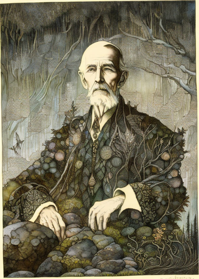 Elderly Man with Long Beard in Fantastical Forest Illustration