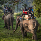 Elaborately patterned elephants in intricate, colorful foliage