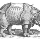 Detailed drawing of mechanical rhinoceros with segmented armor plating on textured ground.