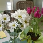 Colorful Flower Bouquet in Vase by Window Greenery