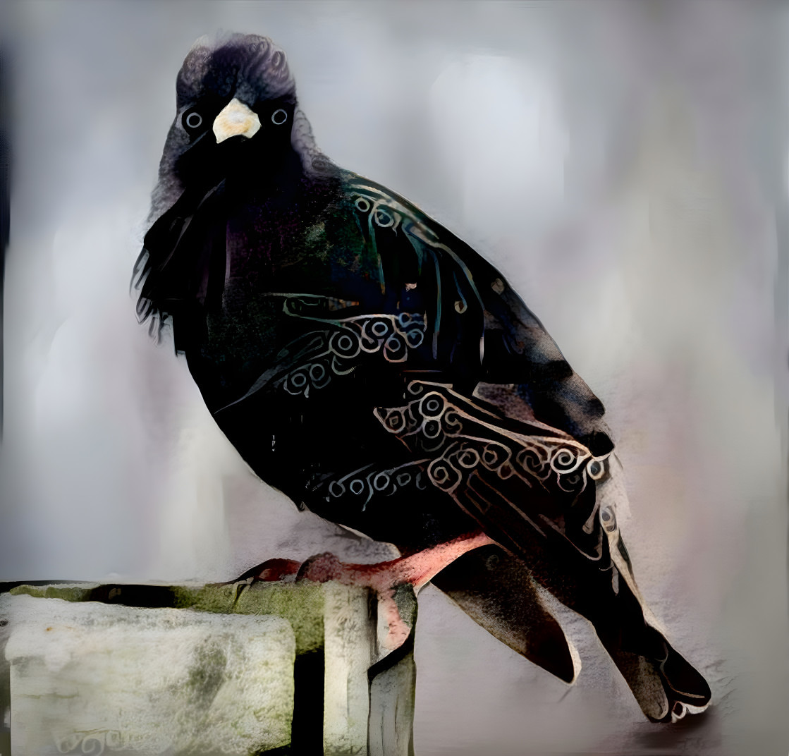 Starling