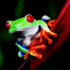 Biomechanical frog art with vibrant green colors on dark background