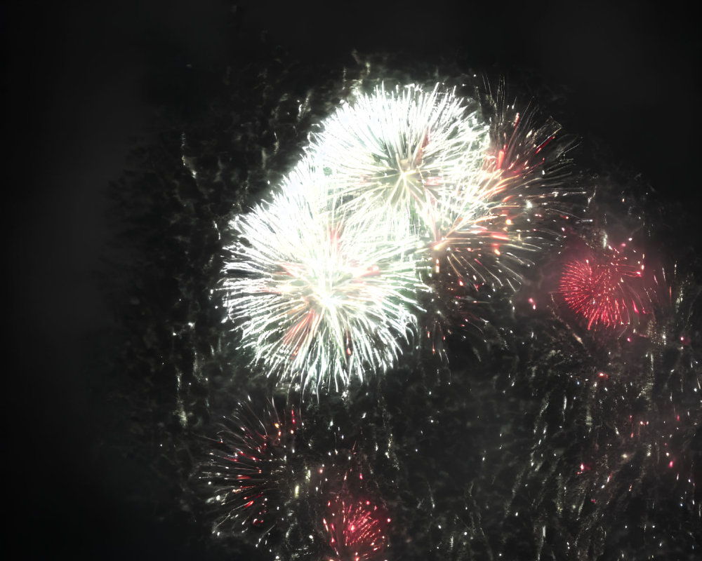 Colorful fireworks illuminate night sky over tree-lined landscape and water.