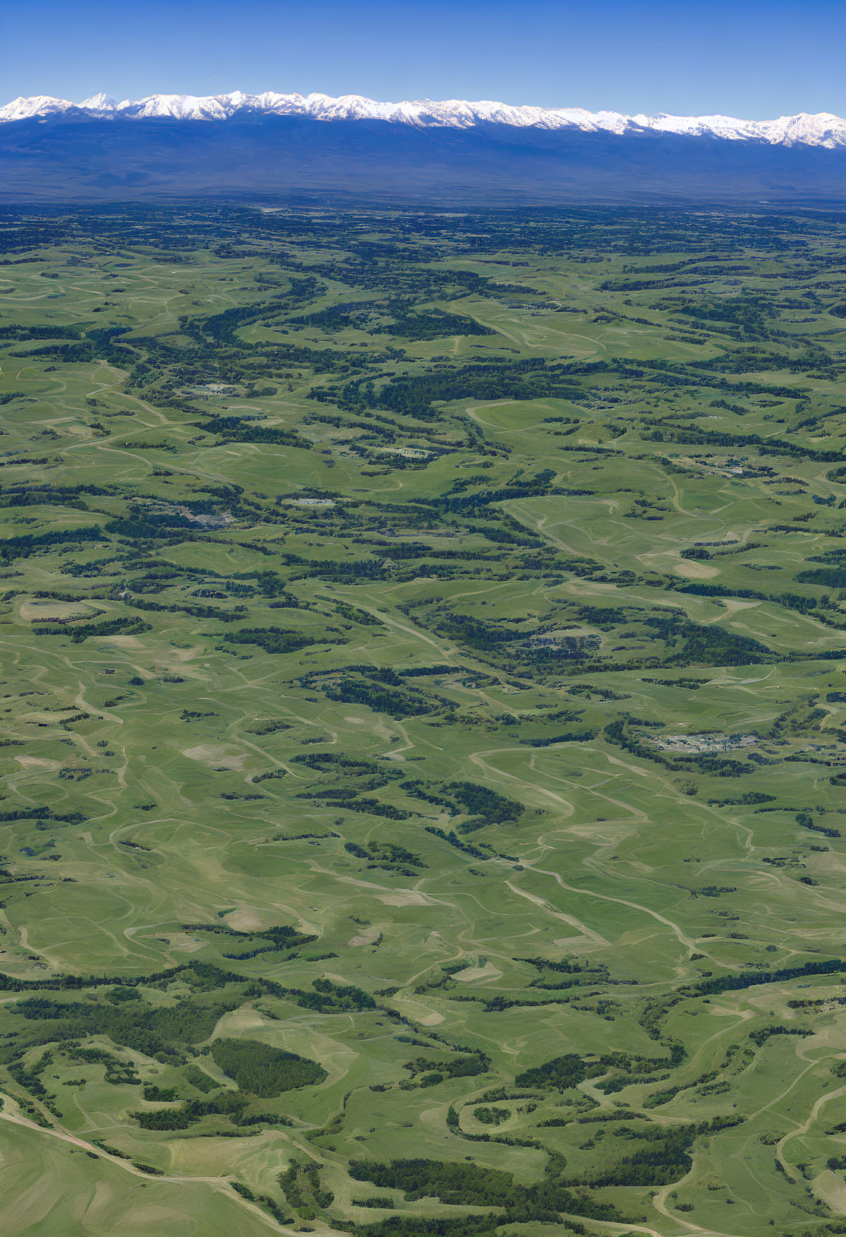 Green Patchwork Landscape with Rolling Hills and Snow-Capped Mountains