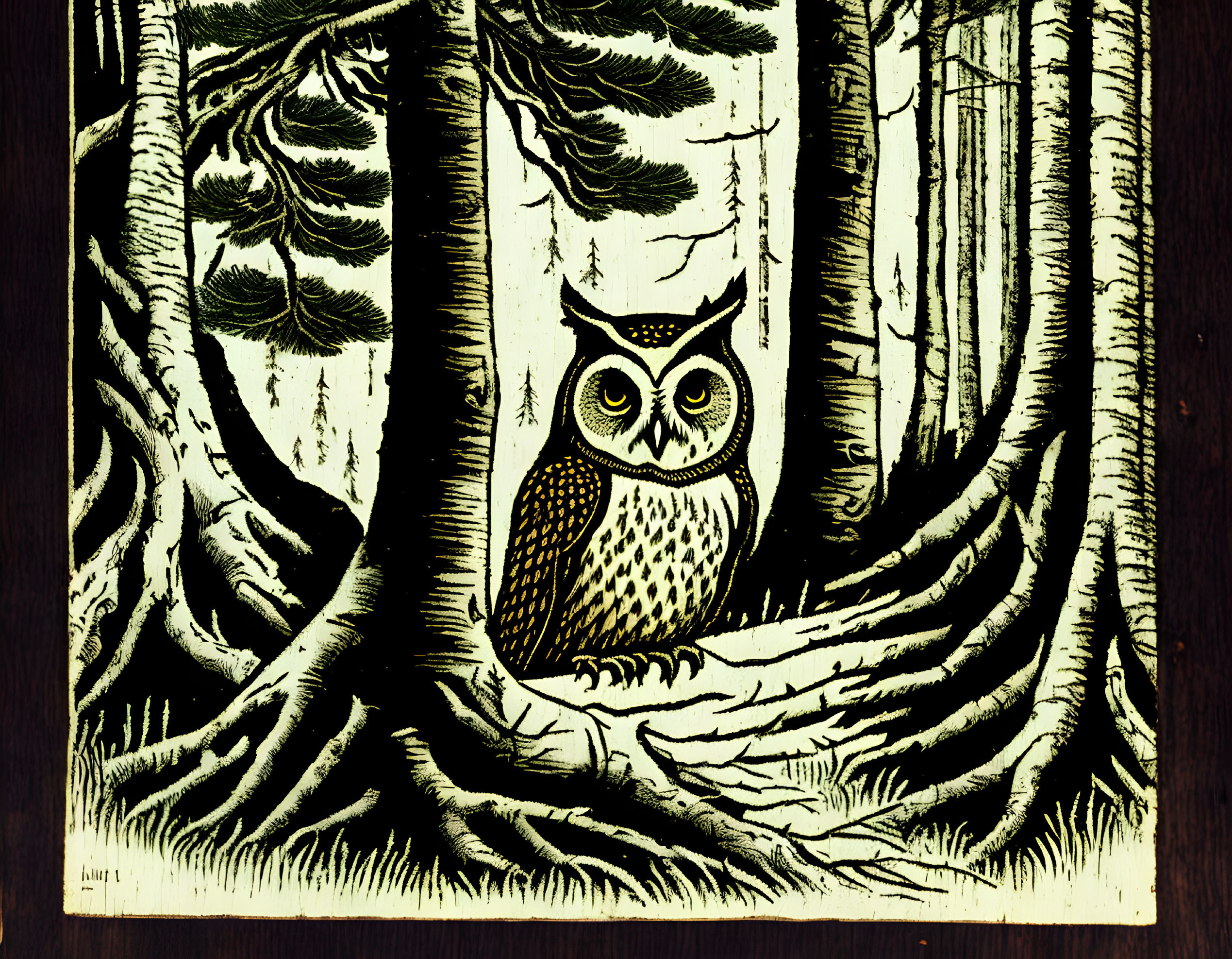 Detailed Black and White Owl Illustration in Dense Forest