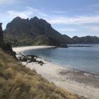 Tranquil beach scene with lush greenery, clear sky, and towering mountain