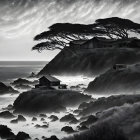 Monochrome cliffside landscape with ocean, rocks, houses, and windswept tree