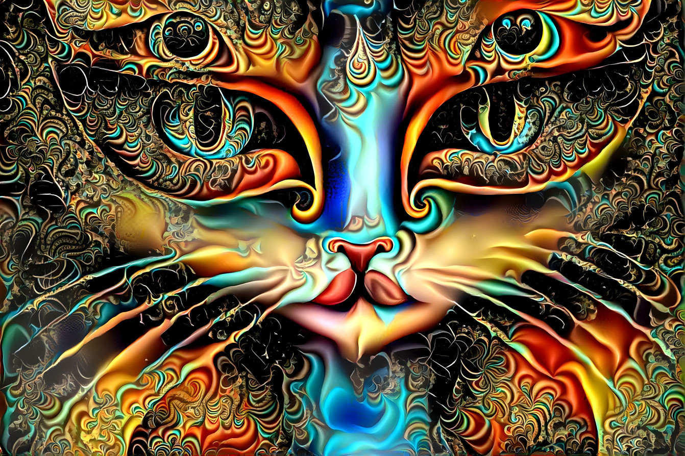 Hippy Cat