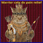 Digital artwork: Humanoid cat warrior in leather armor with swords on red chainmail background