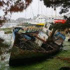 Vibrant Coral Reefs with Sunken Ships and Fish