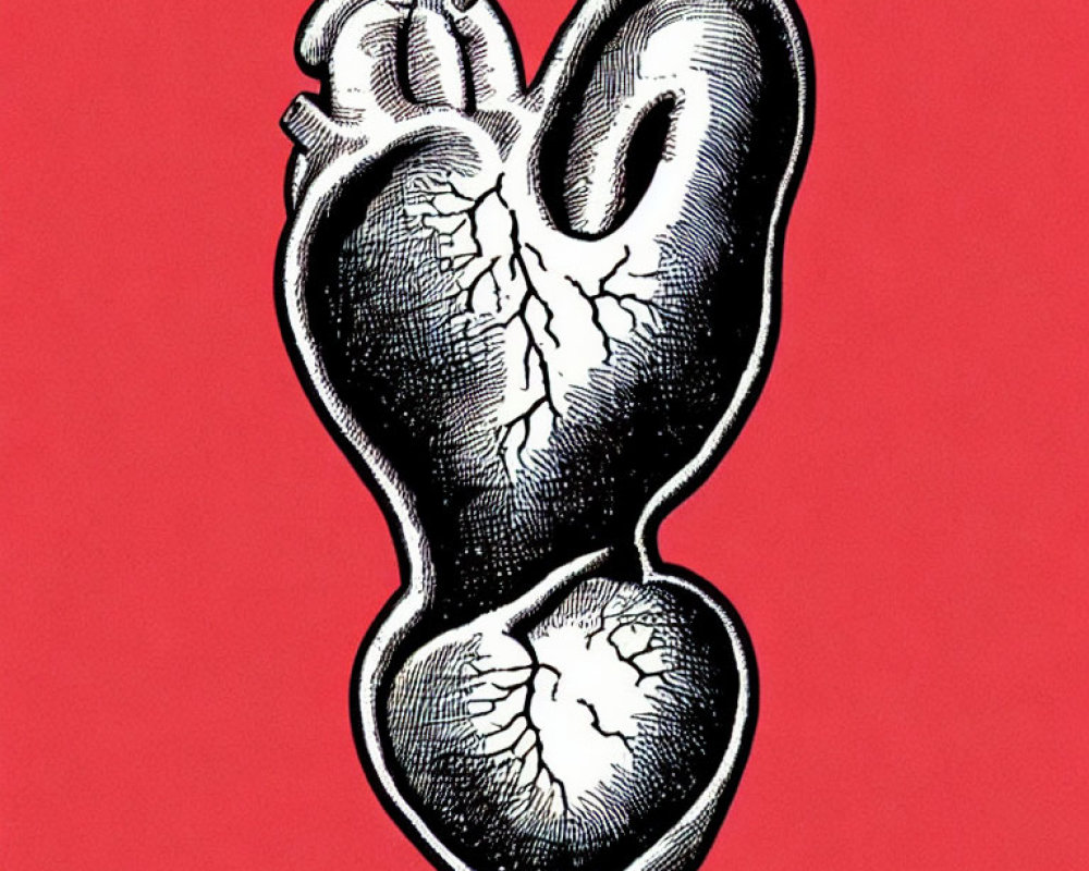 Monochrome split heart on red background illustration