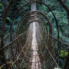 Enchanted forest with sunlight illuminating mystical path