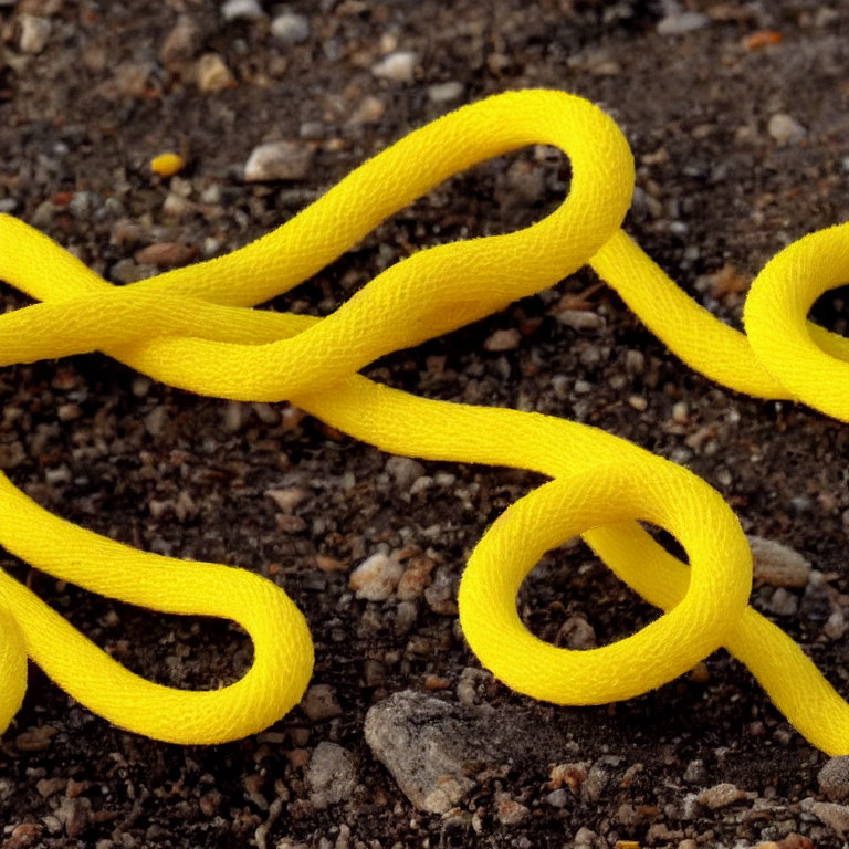 Yellow shoelace on gritty terrain with small stones and earth