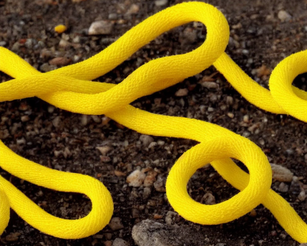 Yellow shoelace on gritty terrain with small stones and earth