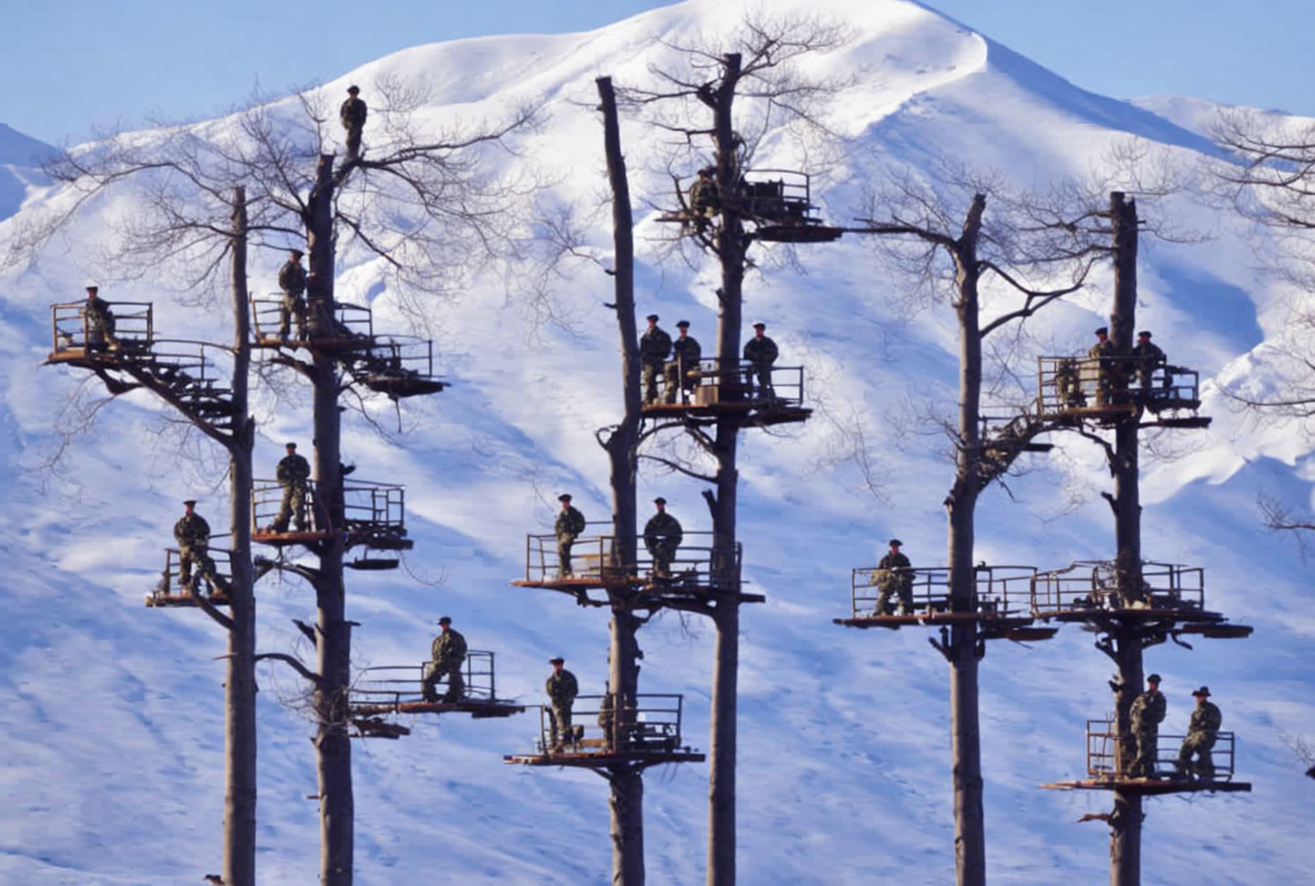 Wooden platforms and ladders in snow-covered adventure park