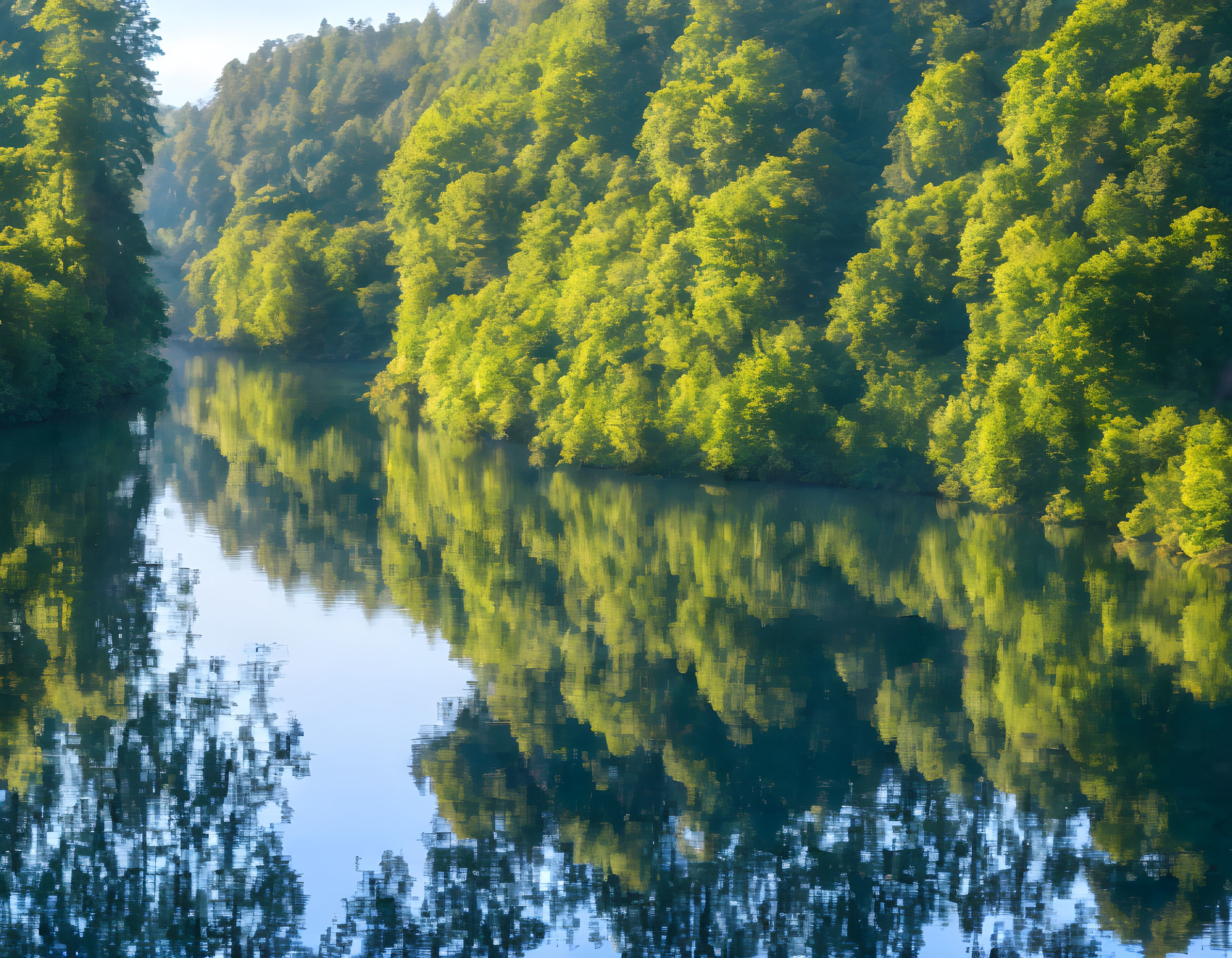 Tranquil river reflects lush green forest under clear blue sky