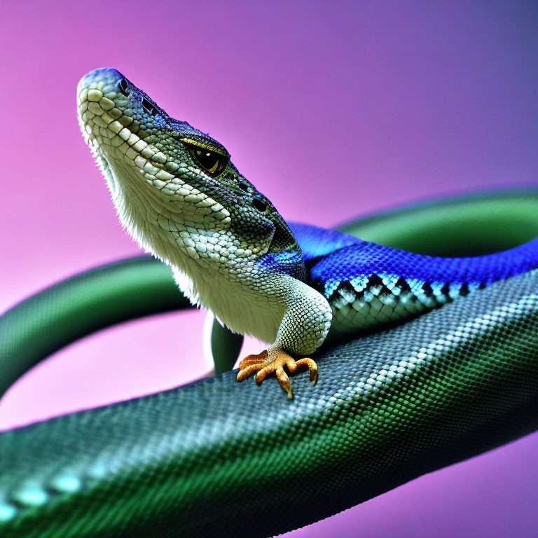 Vibrant lizard on green vine against pink and purple backdrop