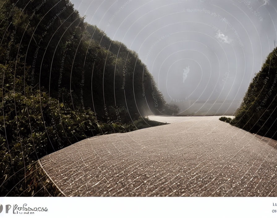 Curved Road Surrounded by Greenery and Trees Under Clear Sky