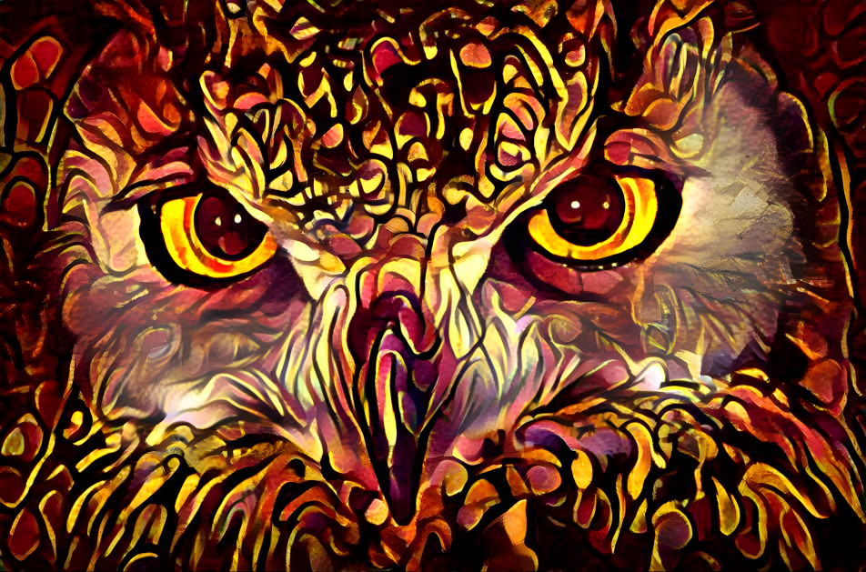 Midnight Owl