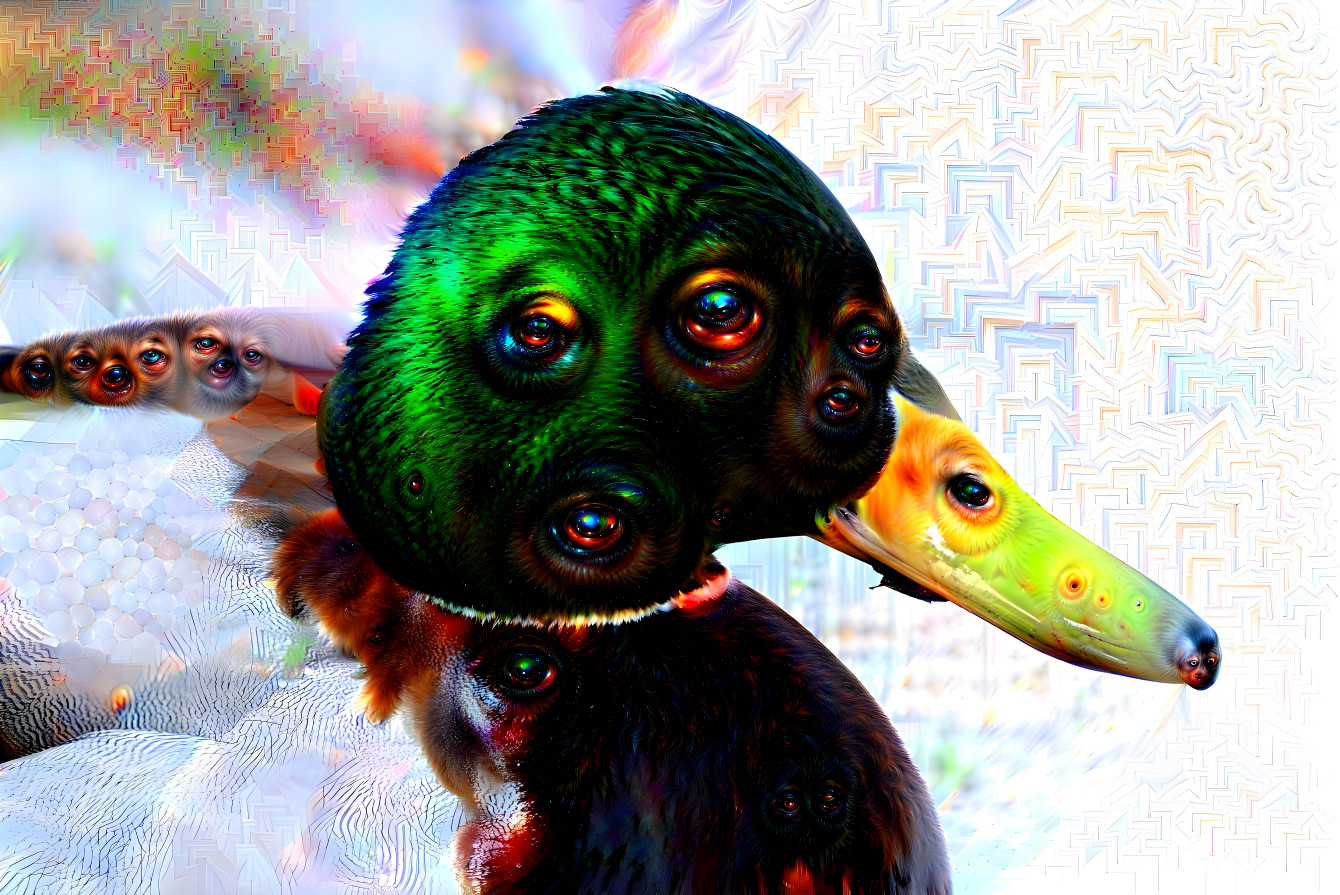 Trippy duck #2