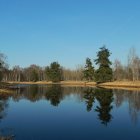 Tranquil forest landscape with calm lake and cloudy sky