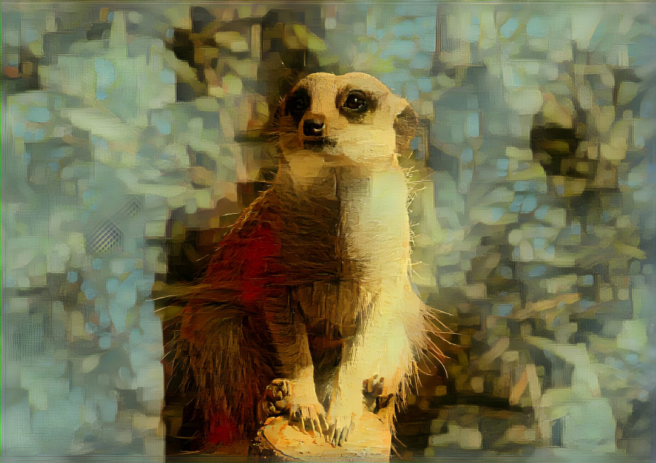 Meerkat