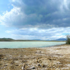 Tranquil beach scene with shallow waters, scattered rocks, distant figures, and palm trees