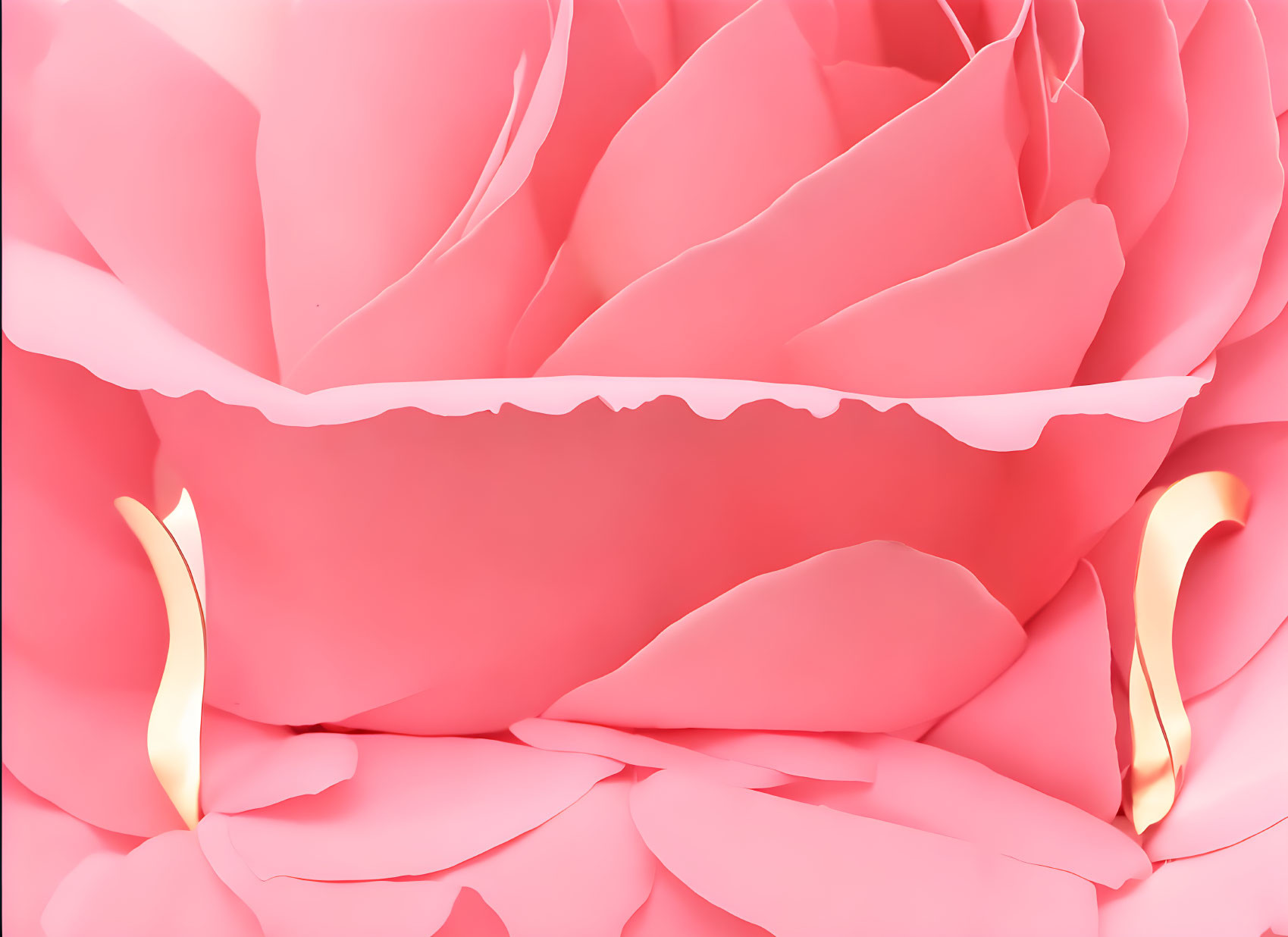 Detailed Close-Up of Lush Pink Rose Petals